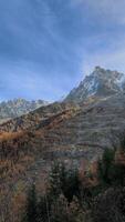 lumière du soleil en mouvement plus de mont blanc et forêt dans l'automne. Chamonix, France dans novembre video