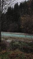 Türkis Fluss arve fließend friedlich im ein Wald in der Nähe von Chamonix, Frankreich im November video