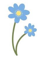 Flat Simple Hepatica Isolated on White Background. Spring Flower Hepatica Bloom Element Flowers. Sticker, Print for Easter Spring Holidays Banners, Posters, Cards, Web. Folk Style. vector