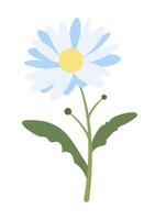 Flat Simple Daisy Isolated on White Background. Spring Flower Chamomile. Flowers Bloom Element. Sticker, Print for Easter Spring Holidays, Banners, Posters, Cards, Web. Folk Style. vector
