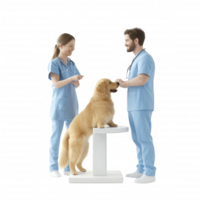 Veterinarians caring for a golden retriever dog in a medical examination. png