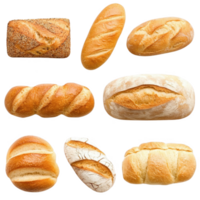 A variety of fresh bread loaves displayed in an appetizing arrangement. png