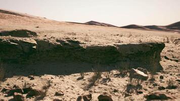 Mongolian desert with rocky formations and sparse vegetation video