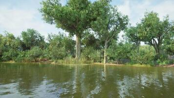 Tranquil lakeside view with lush greenery and trees on a clear sunny day video
