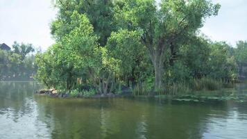 Tranquil waters reflecting lush greenery on a serene lakeside island video