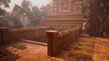 Exploring an ancient temple in the lush jungle of Myanmar during sunrise video