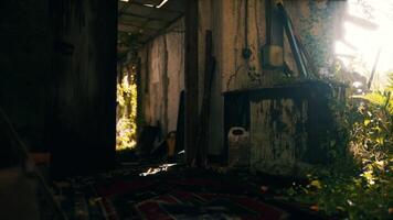 Sunlight filtering through an abandoned building with overgrown vegetation video