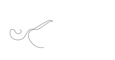 Heart shaped glasses, sunglasses, online artistic animation in continuous line in minimalism, continuous contour movement, drawing of lines in 4k video