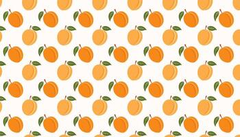 Seamless pattern with apricots on a white background. illustration. vector