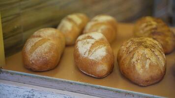 Freshly baked bread placed on counter in bakery video