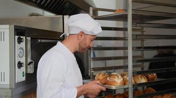 Portrait of a baker in bakery with bread video