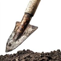 Rustic shovel digging into soil, white isolate background photo