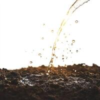 Water pouring onto soil, droplets captured in mid-air against bright light. photo