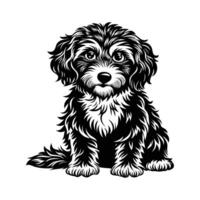 Cavapoo Dog Look silhouette vector