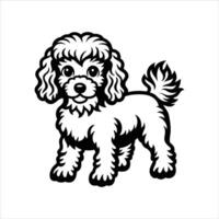 Toy Poodle Vectors