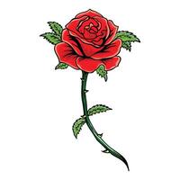 hand drawing Rose color vector