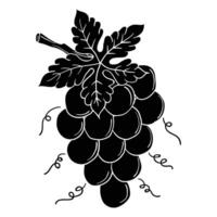Hand drawing style of solid grapes. vector