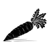 Hand drawing style of carrot vector