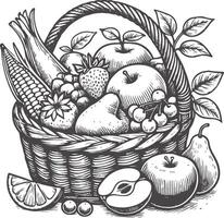 Rustic Hand Drawn Fruit Basket with Farm Fresh Fruits vector
