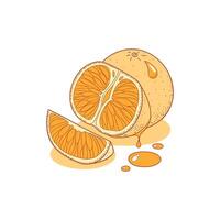Orange illustration art drawing vector