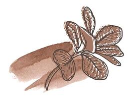 Floral arrangement in the 2025 color of the year Mocha Mousse. Hand drawn outline plant with watercolor stain and warm brown tone. Perfect for creating trendy graphic resource and stylish designs. vector