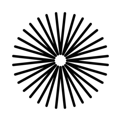 A black and white image of a sunburst