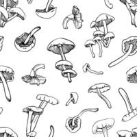 seamless pattern with hand drawn mushrooms vector