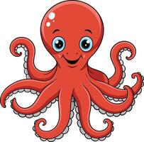 Unveiling the Mysteries of the Octopus vector
