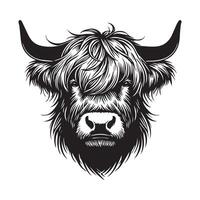 Precious Baby Highland Cattle Face Drawing for Kids vector