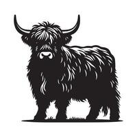 Charming Baby Highland Cattle Clipart for Posters vector