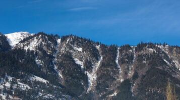 Snow Capped Mountains with Alpine Trees under a Clear Blue Sky in Kalam, North Pakistan photo