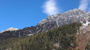 Panoramic View of Snow-Capped Peaks and Evergreen Forests in Kalam, Pakistan photo