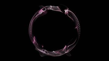 A pink circular shape with a black background video