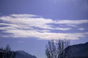 Cirrus Clouds Streaking Across a Blue Sky Above Mountain Peaks Bare Tree in the Foreground photo