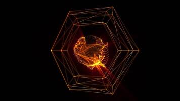 An abstract image of a firefly in a hexagonal shape video