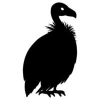 The Vulture silhouette of standing bird . vector