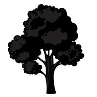 Tree illustration palm design vector