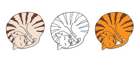 Cat sleeping curled up. Simple doodle elements, different variations, black contour lines and flat color. vector