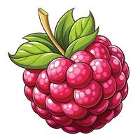 a raspberry is shown with leaves on it vector