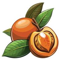 an orange and a half of a peach with leaves vector