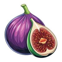 a fig and a half of a fig vector