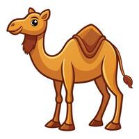 cartoon camel isolated on white background vector
