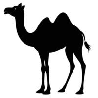 a camel is standing in a black silhouette vector