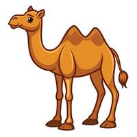 cartoon camel isolated on white background vector