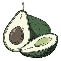 an avocado is cut in half and has been sliced vector