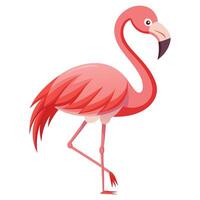 flamingo cartoon illustration isolated on white background vector