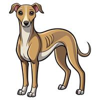 a cartoon greyhound dog standing on a white background vector