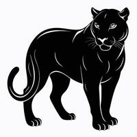 black panther silhouette on white background vector
