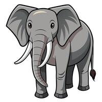 an elephant with tusks standing in front of a white background vector