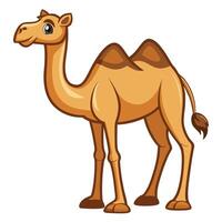 cartoon camel on white background vector